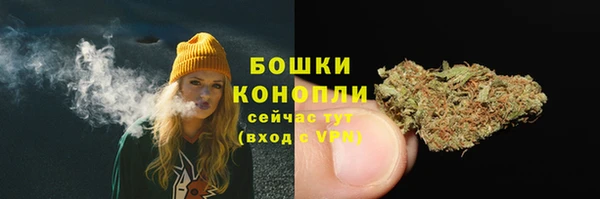 спайс Осинники